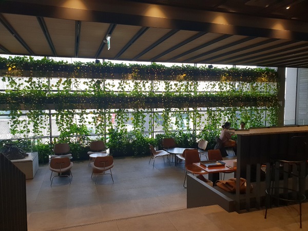 ▲ 맥심플랜트 매장 1층 모습. ⓒ뉴데일리 임소현 기자