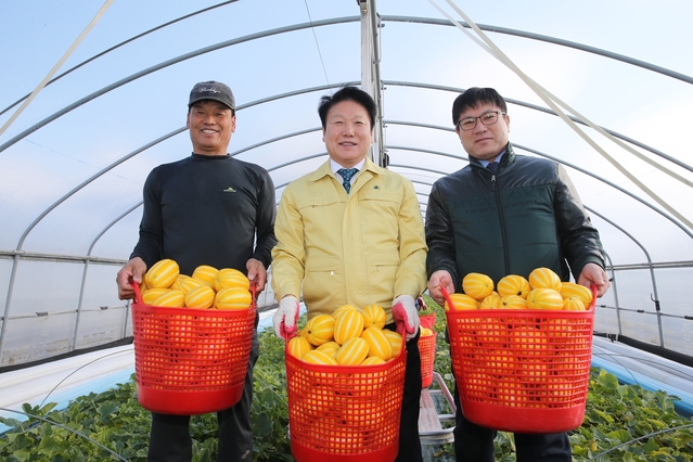 ▲ 이병환 성주군수(중간)가 어산리 김해규씨 참외농가에서 첫 출하된 성주참외를 들어보고 있다.ⓒ성주군