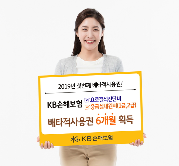 ▲ ⓒKB손해보험