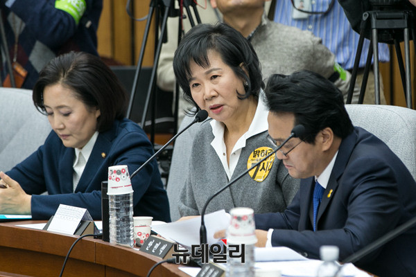 ▲ 손혜원 더불어민주당 의원(왼쪽), 서영교 더불어민주당 원내수석부대표(오른쪽). ⓒ뉴데일리 DB