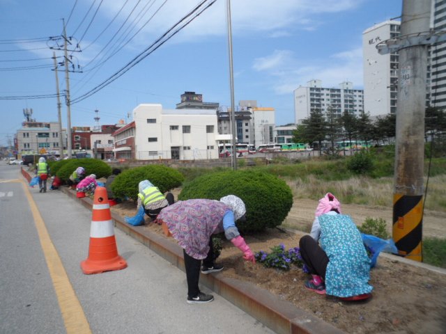 ▲ 울진군이 21일부터 31일까지 공공근로 및 지역공동체 일자리사업 참여자를 모집한다.ⓒ울진군