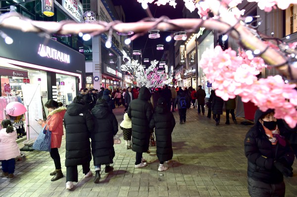 ▲ 제천 문화의 거리에 조성된 벚꽃거리 모습.ⓒ제천시