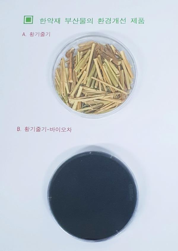 ▲ 황기와 감초 줄기로 만든 바이오차.ⓒ세명대