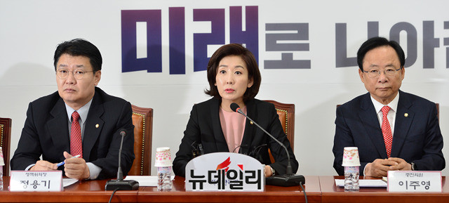 ▲ 나경원 자유한국당 원내대표가 13일 오전 국회에서 열린 원내대표·중진의원 연석회의에서 모두발언을 하고 있다. 박성원 기자