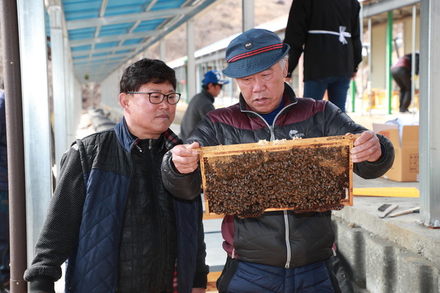 ▲ 예천군은 14일 곤충연구소 꿀벌육종센터에서 전국 한국종봉생산협회 회원들에게 장원벌 기본종인 모계 10군, 부계 13군을 전국 7개도 7개소에 유상으로 분양했다.ⓒ예천군