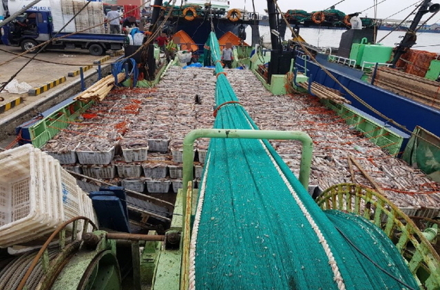 포항해경에의해 적발된 공조조업 오징어 불법 포획 어선 모습.ⓒ포항해경