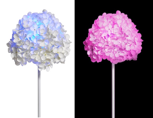 ▲ ⓒ세강엘이디