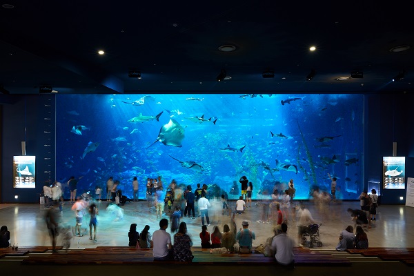 ▲ 한화 아쿠아플라넷 제주. ⓒ한화호텔앤드리조트