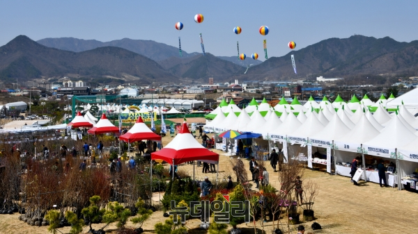 ▲ 오는 31일까지 충북 옥천군 이원면에서 열리고 있는 옥천묘목축제장에 농민들이 생산한 각종 묘목이 전시돼 있다.ⓒ김정원 기자