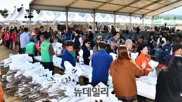 ▲ 옥천묘목 축제장에서 방문객들에게 행사 기간동안에 매일 1000개의 묘목을 나눠주고 있다. 방문객들이 묘목을 무료로 받기 위해 긴 줄을 서 있다.ⓒ김정원 기자