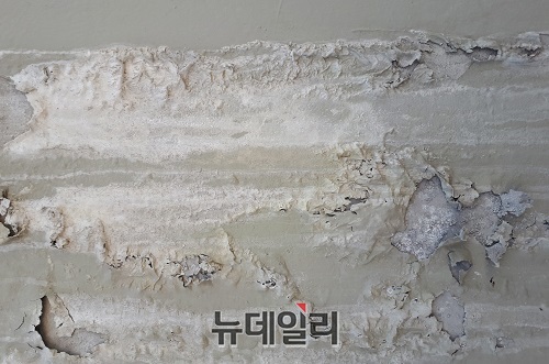▲ 세종시와 LH가 감독한 오롯지하차도 콘크리트벽체 부위에 하얗게 부풀어 돌출된 ‘백태현상’이 곳곳에 노출돼 있다.ⓒ김동식 기자
