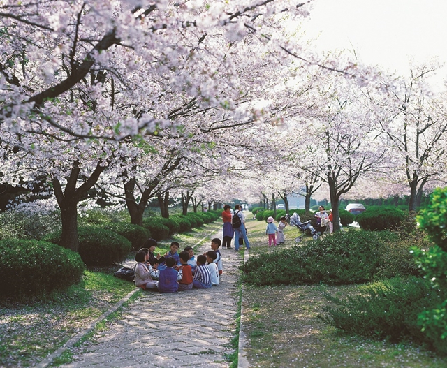 ▲ 봄철 야외활동 이미지 ⓒ유디치과