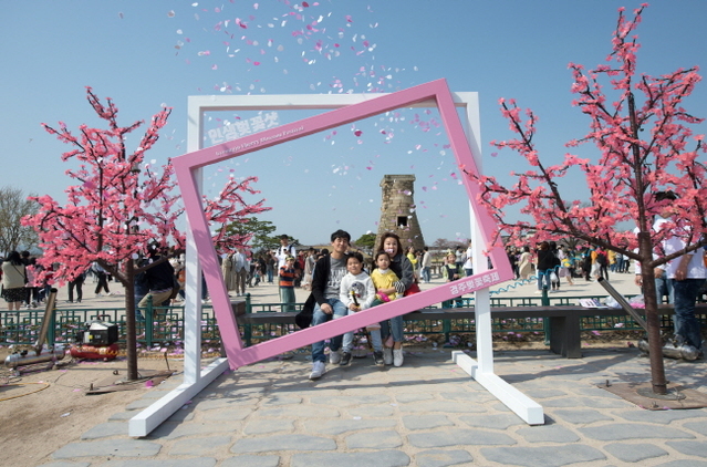 ▲ 가족과함께 벚꽃축제에 참가한 관광객이 추억의 사진을 촬영하고 있다.ⓒ경주시