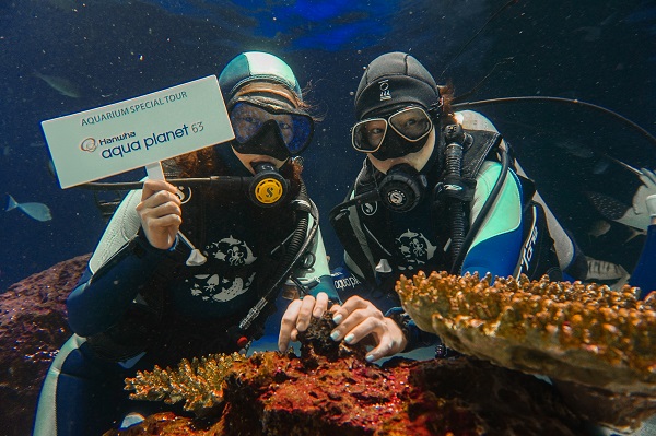 ▲ ⓒ한화호텔앤리조트