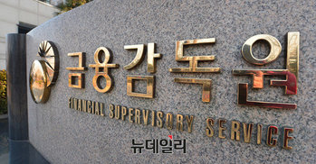 ▲ 금융감독원.ⓒ뉴데일리DB