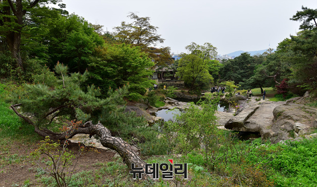 ▲ '성락원' 후원에서는 탁 트인 시야로 남산을 바라볼 수 있다.ⓒ정상윤 기자