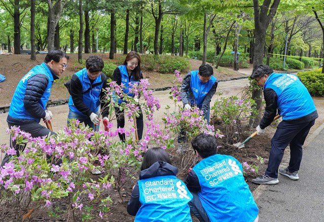 ▲ SC제일은행 임직원들이 지난 26일 서울 성동구 서울숲에서 나무 심기 봉사활동을 진행했다.ⓒSC제일은행
