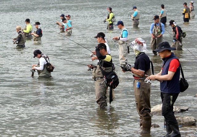 ▲ 지난해 단양강 일원에서 열린 쏘가리대회에 참가한 강태공들.ⓒ단양군