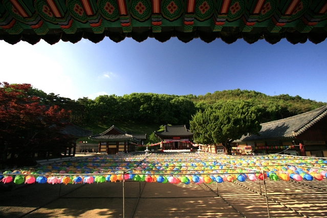 ▲ 영천시 은해사에 부처님 오신날 연등이 걸려 있는 모습.ⓒ영천시