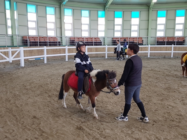 ▲ 영천시 운주산승마장은 오는 11월까지 총 30회에 걸쳐 영천중앙초등학교 늘품승마단 학생승마체험 프로그램을 마련했다.ⓒ영천시