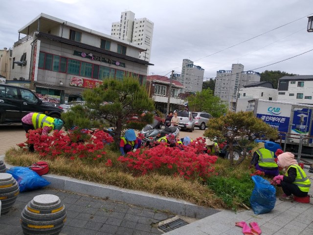 ▲ 울진군이 2019 하반기 공공근로 및 지역공동체일자리사업을 시행한다.ⓒ울진군