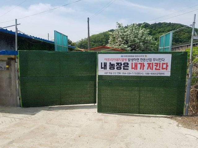 ▲ 한돈협회 영천시지부(지부장 권호산)는 농가 스스로 가축방역의 주체로서 책임의식을 갖고 아프리카돼지열병 차단방역에 총력을 다할 것을 다짐하는 현수막을 관내 전 양돈농가에 배부·부착했다.ⓒ영천시