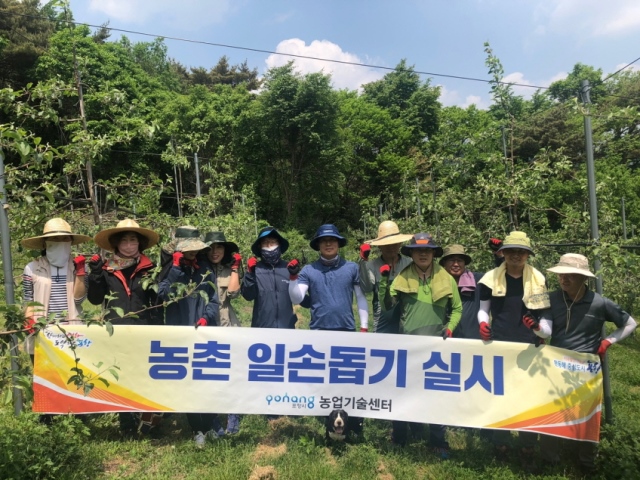 ▲ 봄철 바쁜 농촌을 찾아 일 손돕기에 나선 농업정책과 직원들 모습.ⓒ포항시