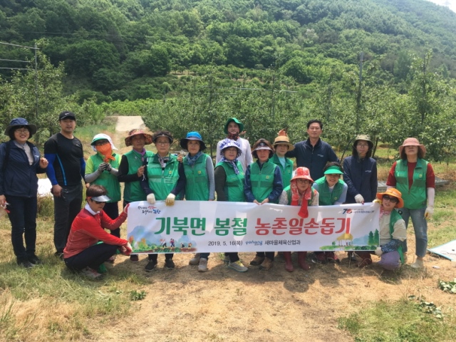 ▲ 포항시 마을체육산업과 직원들이 논촌일손돕기에 나서 은 땀방울을 흘렸다.ⓒ포항시