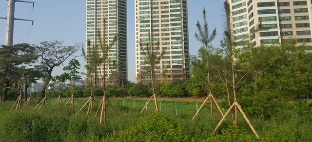 ▲ 청주시가 조림사업을 벌인 흥덕구 복대동 지웰시티 아파트 인근 공한지.ⓒ청주시