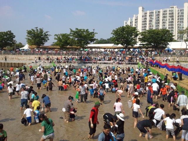 ▲ 성주참외페스티벌 도시어부체험 장면.ⓒ성주군