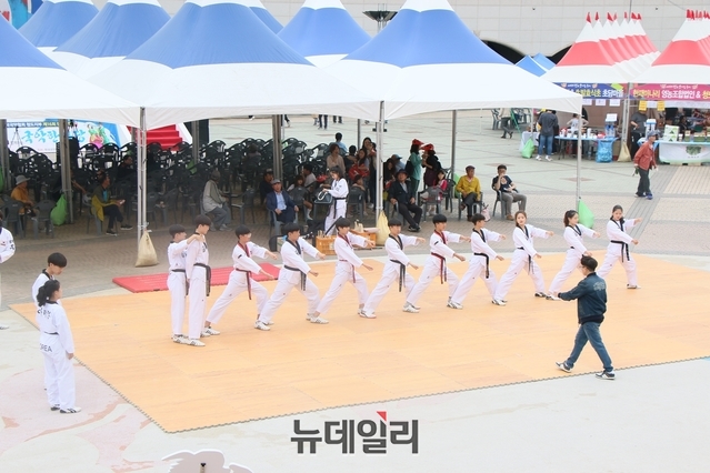 ▲ 축제장에는 다양한 부대행사가 열려 관광객과 군민의 시선을 끌었다.ⓒ뉴데일리