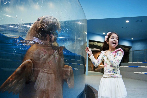 ▲ ⓒ한화호텔앤드리조트