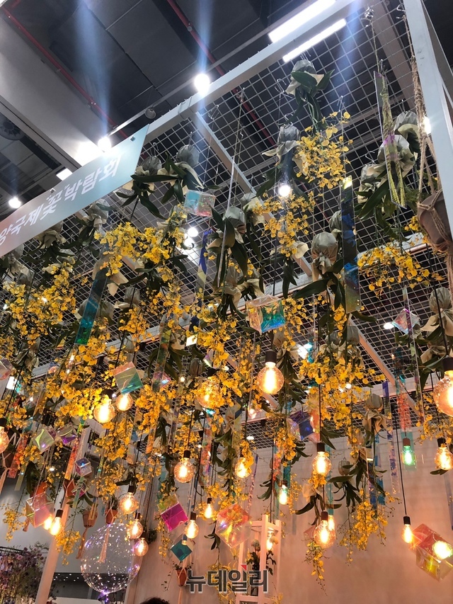 ▲ 화훼농가 품평회에서 ‘꽃으뜸상’ 부문에 대구 달성군 정연석 농가(경북도지사상), 다육·선인장 부문에 경북 상주시 최동헌 농가(대구시장상)에게 최우수상이 돌아갔다.ⓒ뉴데일리