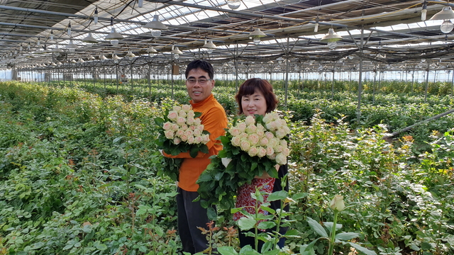 ▲ 대구 달성군(군수 김문오) 다사읍 정연석(60)씨 농가에서 출범한 화훼 작품이 ‘제10회 대구 꽃박람회’에서 대상을 차지했다.ⓒ달성군
