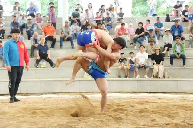 ▲ 경산시 자인면 계정숲 내 씨름장에서 경산시체육회 주최, 경산시씨름협회 주관, 경산시 후원으로 열린 대회에는 1000여 명의 관중들이 싸름장을 찾아 박진감넘치는 경기를 관람했다.ⓒ경산시