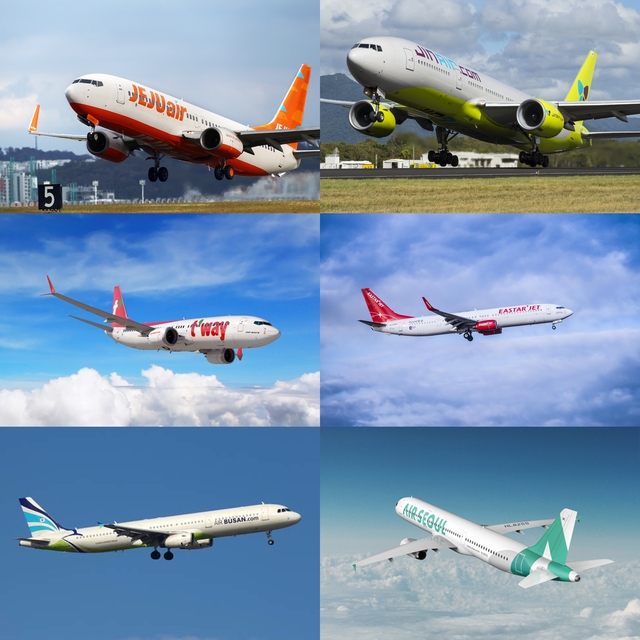 ▲ ⓒ각 항공사 취합