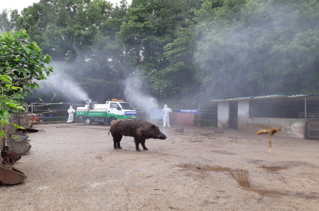 ▲ 포항시가 아프리카돼지열병(ASF) 차단방역을 위해 농가를 방문 소독을 하고 있다.ⓒ포항시