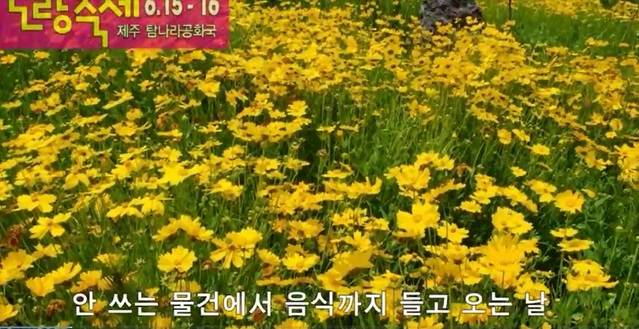 ▲ 제주 탐나라공화국은 15~16일 제주시 한림읍 탐나라공화국에서 노랑축제 수눌음데이를 개최한다.ⓒ제주 탐나라공화국