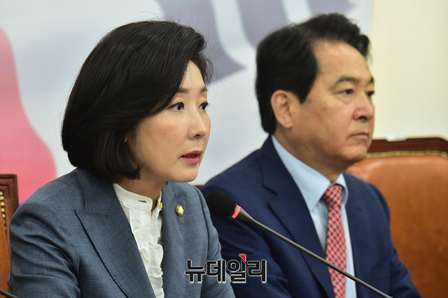 ▲ 나경원 자유한국당 원내대표가 12일 오전 국회에서 열린 원내대표-중진의원연석회의에서 모두발언을 하고 있다. ⓒ이종현 기자