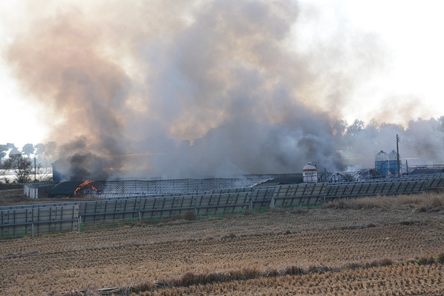 ▲ 보험금을 노리고 고의적으로 양계장에 불을 낸 모습.ⓒ충남경찰청