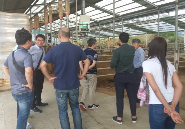 ▲ 지난 17일 홍콩과 대만 수입업체가 횡성군을 방문해 양계농가와 축산농가를 둘러보고 있다.ⓒ횡성군