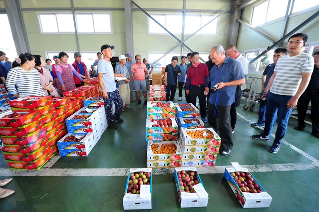 ▲ 군위군농산물공판장이 지난 21일 개장하고 여름제철 농산물 출하를 시작했다.ⓒ군위군