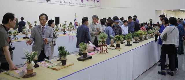 ▲ 사진은 지난해 열린 5회 풍란전시회 모습.ⓒ청주시농업기술센터