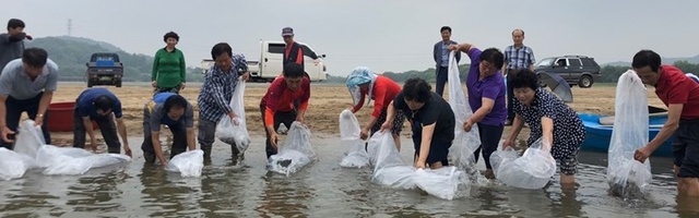 ▲ 충남도는 28일 도내 3개 댐과 호수에서 10만 마리의 동자개 우량 종자를 방류했다고 밝혔다.ⓒ충남도 수산자원연구소