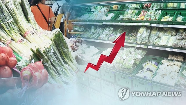 ▲ 6월 소비자물가 0.7% 상승…반년째 0%대 상승률 (CG)ⓒ 연합뉴스TV 제공