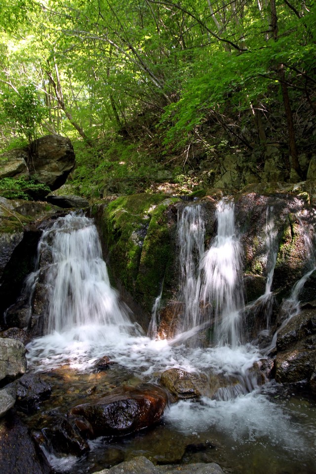 ▲ 소백산 도솔봉과 묘적봉에서 발원한 사동계곡.ⓒ단양군