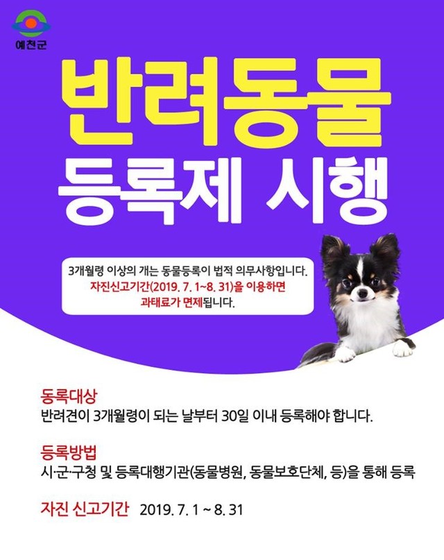 ▲ 예천군은 8월 말까지 ‘동물등록 자진신고 기간’을 운영하고 등록을 홍보하고 있다.ⓒ예천군