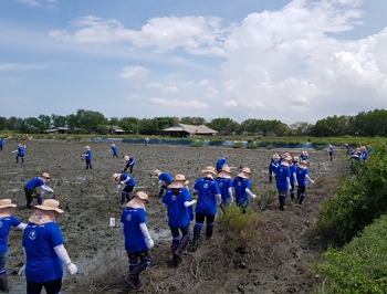 ▲ 태국 펫차부리 지역에서 맹그로브 묘목을 심는 삼성생명 직원들.ⓒ삼성생명