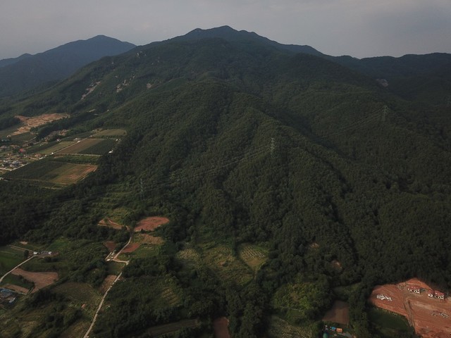 ▲ 제천시가 올해부터 조성하는 백운면 박달재 일원 '자작나무 숲'조성 예정지.ⓒ제천시