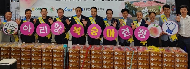 충북의 공동 브랜드 ‘아리향 복숭아’가 25일 서울 양재동 농협하나로유통센터에서 시판행사를 시작으로 본격적인 판매에 들어갔다.ⓒ충북도
